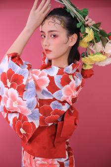 巨人族的新娘动漫